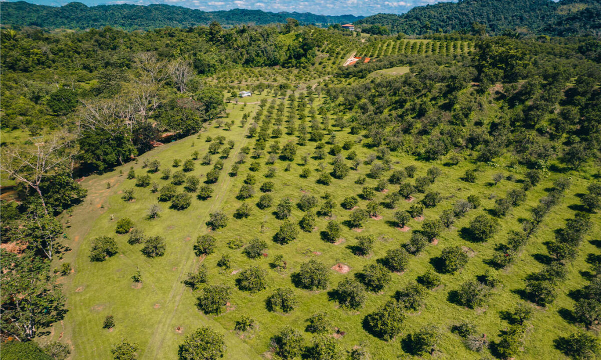 Eco20Park2028329-1