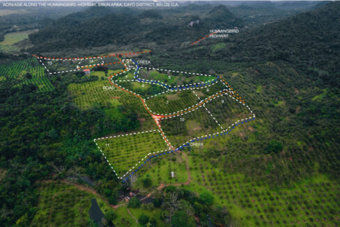 Eco20Park20Sketched2028129