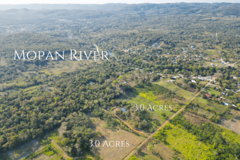 Land-For-Sale-in-Bullet-tree-Village-6