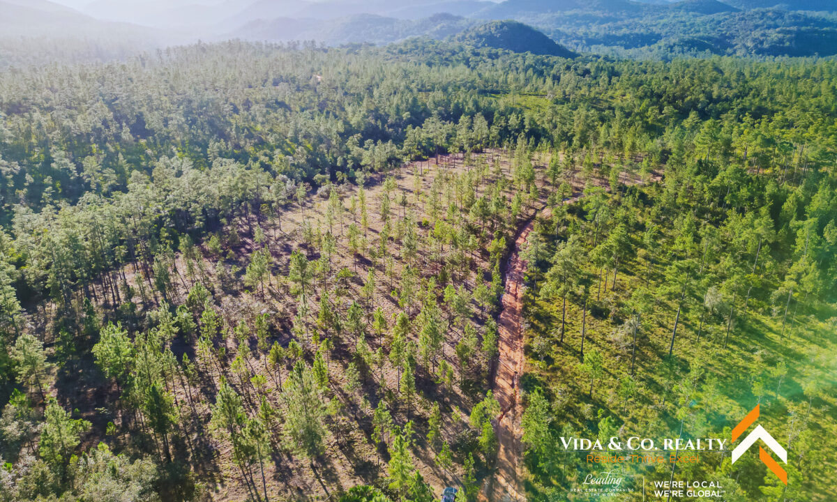 Mountain-Pine-Ridge-Land-For-Sale-1