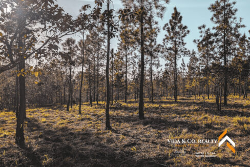 Mountain-Pine-Ridge-Land-For-Sale-11