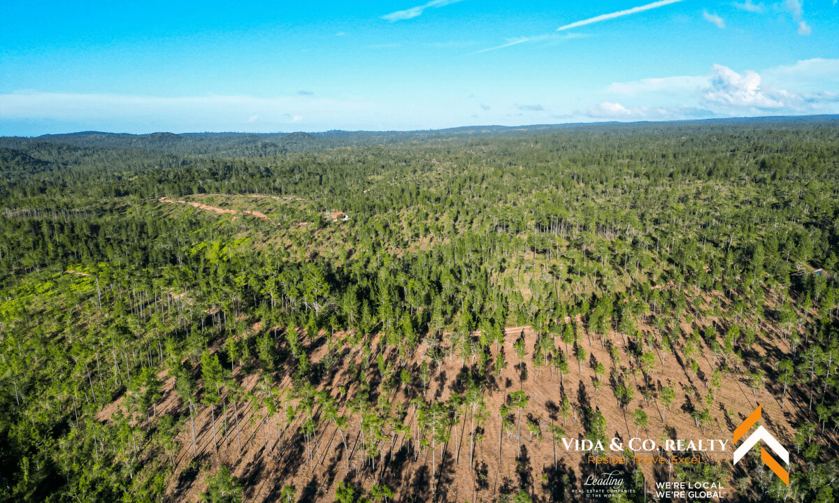 Mountain-Pine-Ridge-Land-For-Sale-2