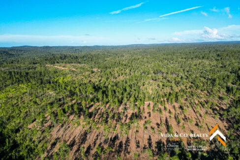 Mountain-Pine-Ridge-Land-For-Sale-2