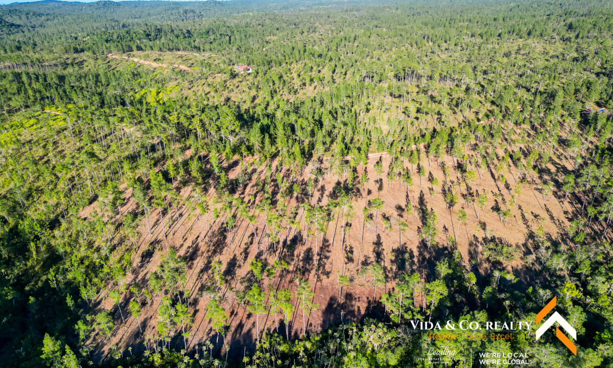 Mountain-Pine-Ridge-Land-For-Sale-3