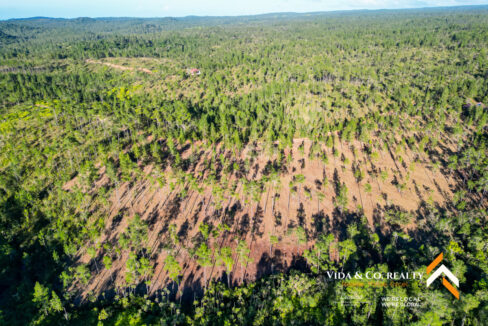 Mountain-Pine-Ridge-Land-For-Sale-3