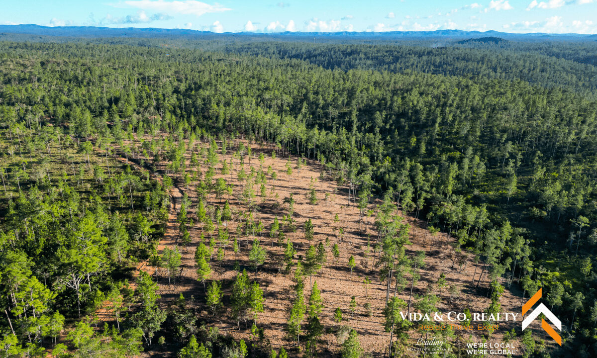 Mountain-Pine-Ridge-Land-For-Sale-4