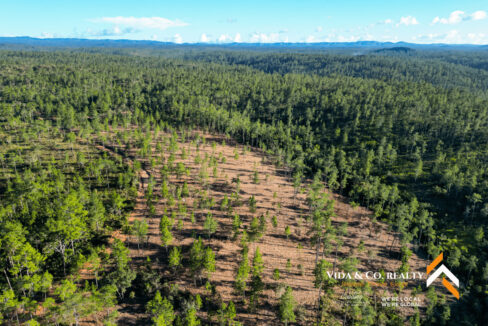 Mountain-Pine-Ridge-Land-For-Sale-4