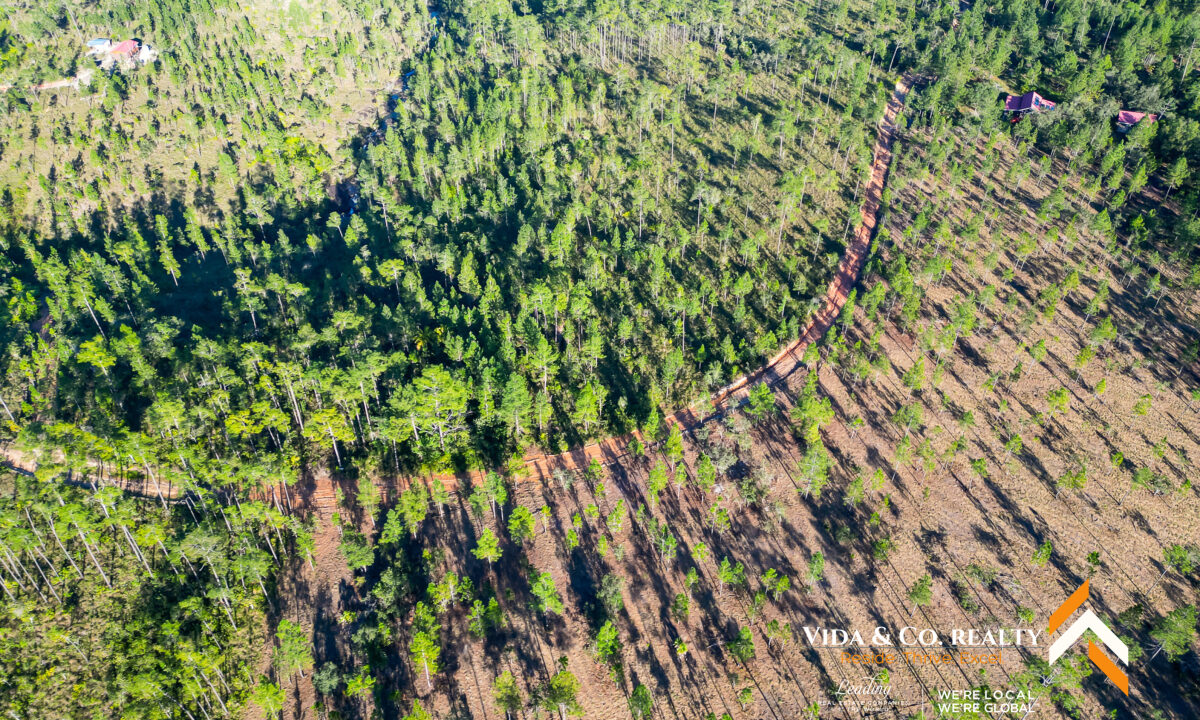 Mountain-Pine-Ridge-Land-For-Sale-5