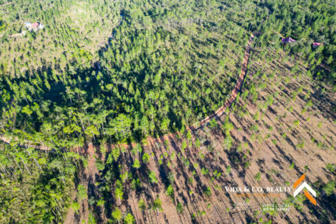 Mountain-Pine-Ridge-Land-For-Sale-5