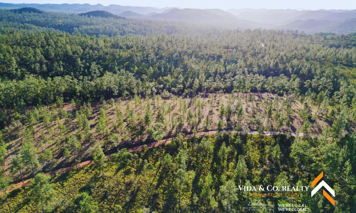 Mountain-Pine-Ridge-Land-For-Sale-6