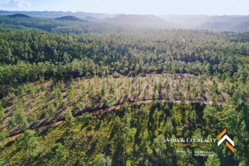 Mountain-Pine-Ridge-Land-For-Sale-6