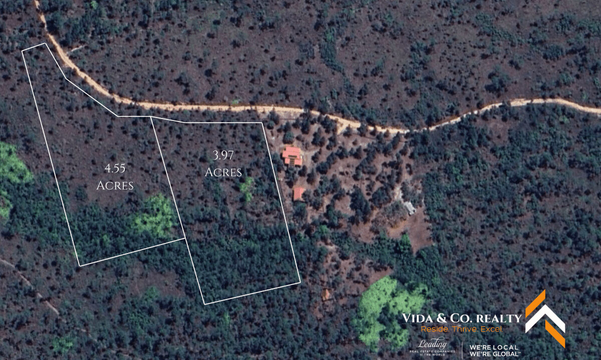 Mountain-Pine-Ridge-Land-For-Sale-7