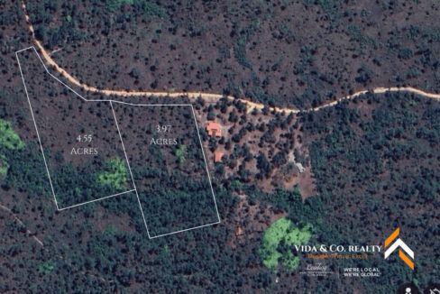 Mountain-Pine-Ridge-Land-For-Sale-7
