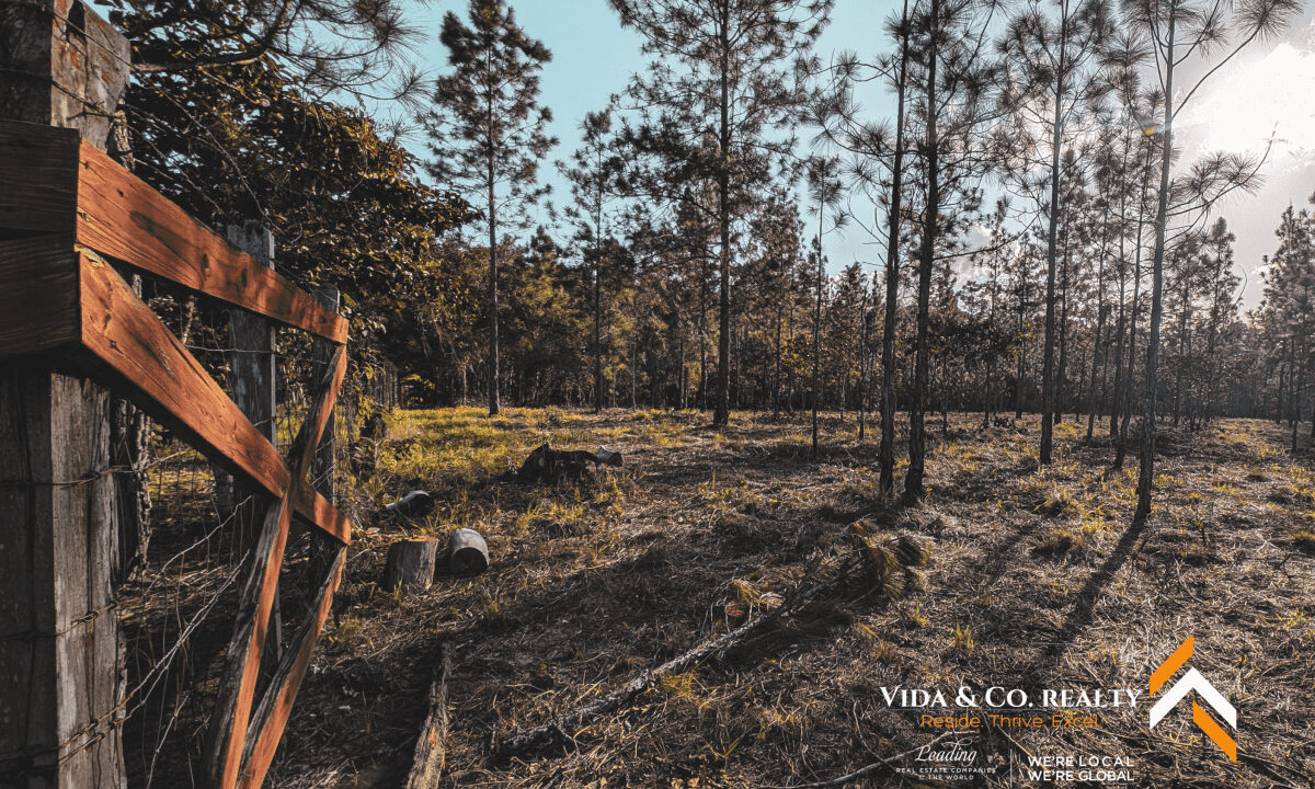 Mountain-Pine-Ridge-Land-For-Sale-8