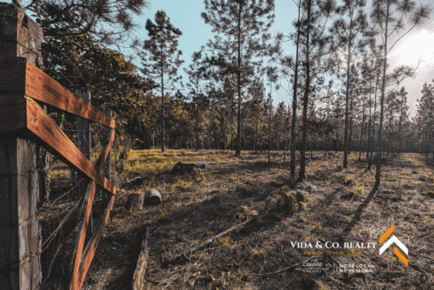 Mountain-Pine-Ridge-Land-For-Sale-8