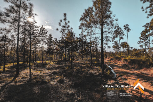 Mountain-Pine-Ridge-Land-For-Sale-9