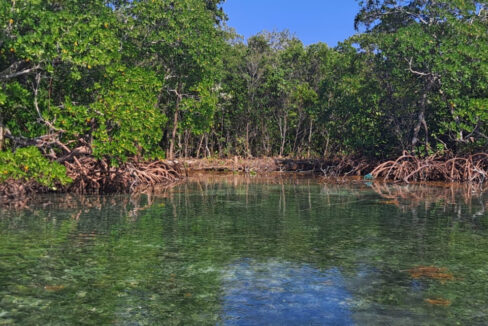 PI0008-Saddle-Caye-1740x960-c-center