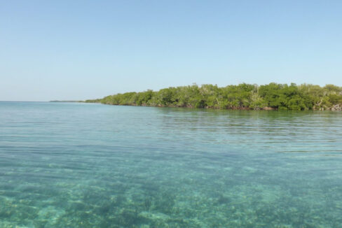 PI0008-saddle-caye-water-view-scaled-1740x960-c-center