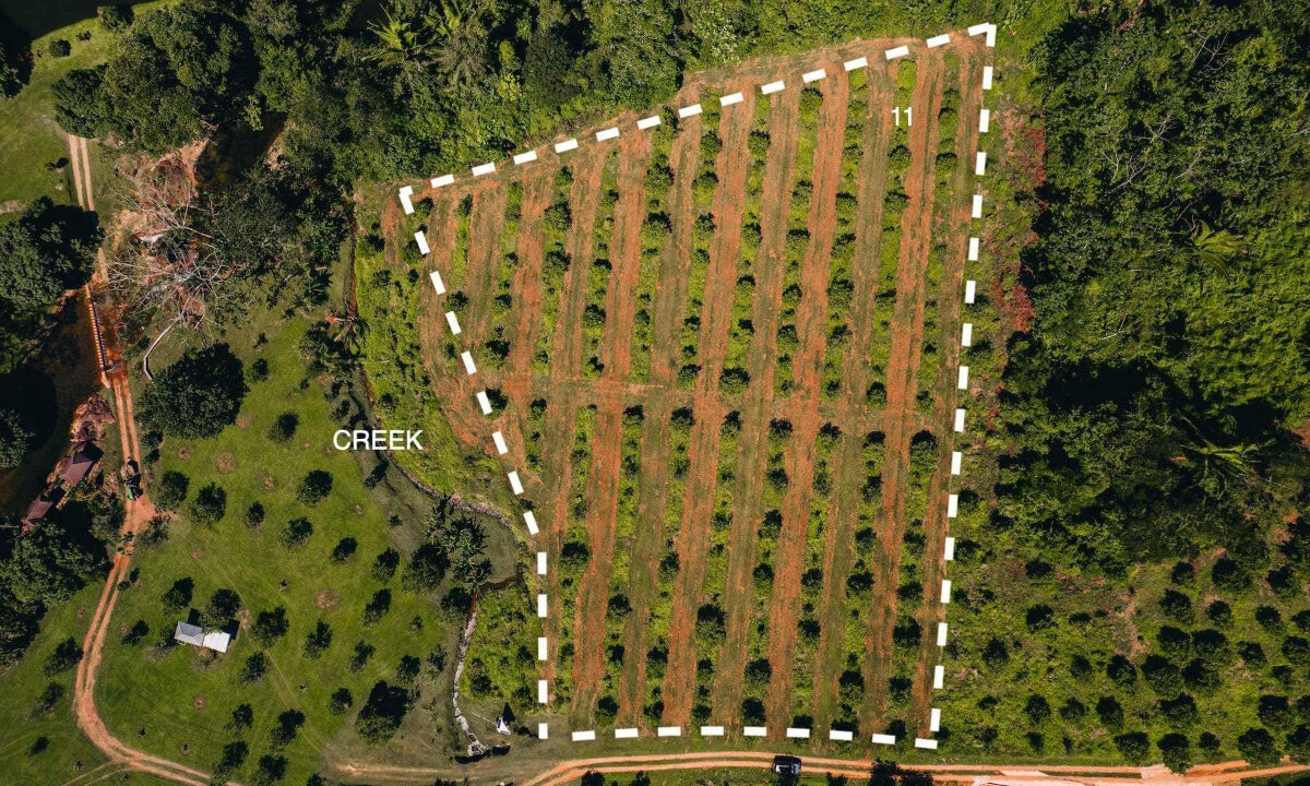 Parcel2011