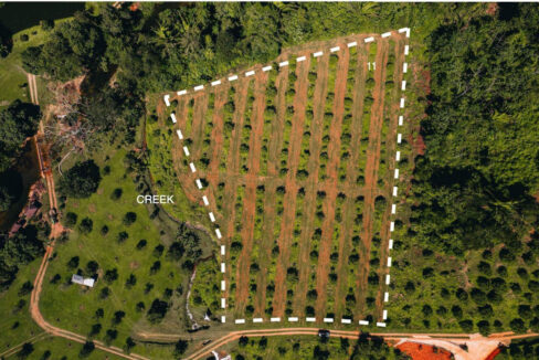 Parcel2011