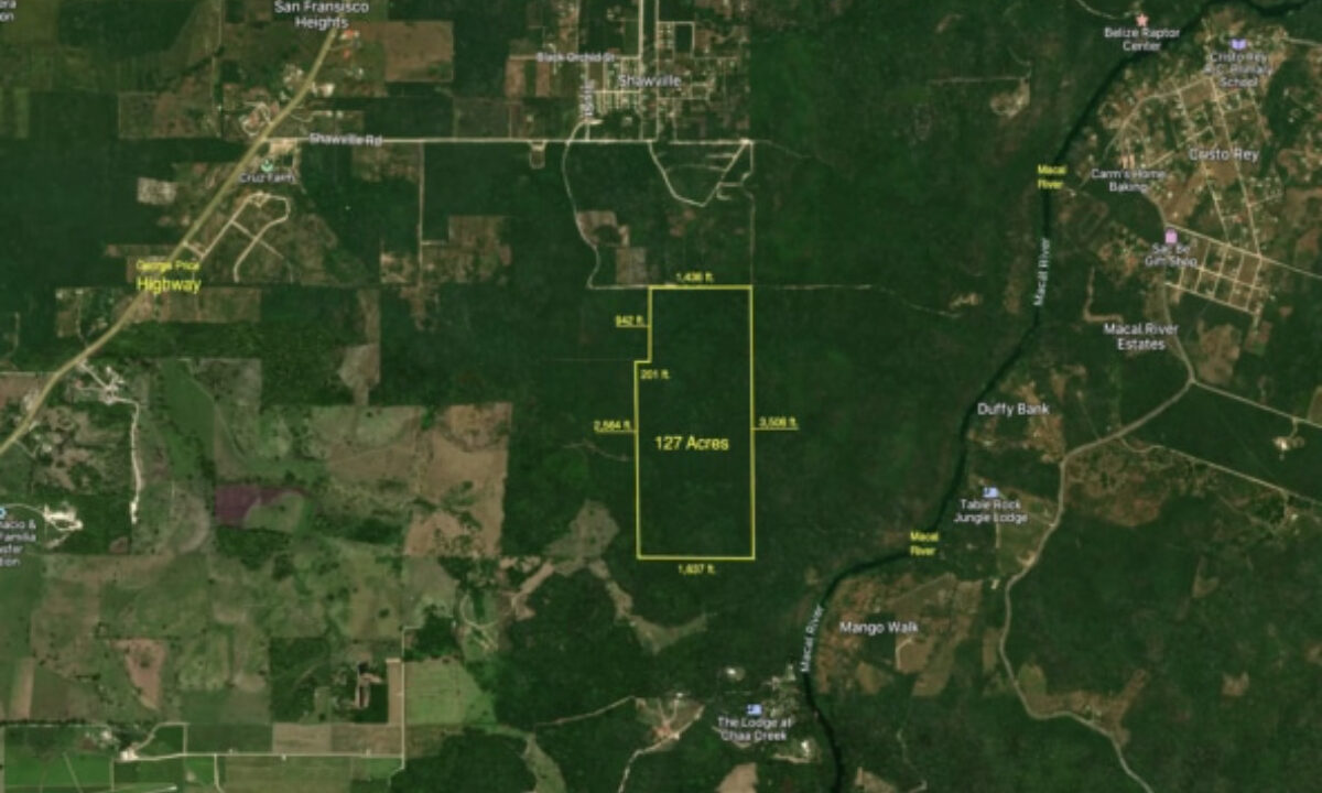Sat20Sketch2012720Acres20South20San20Ignacio-592x444