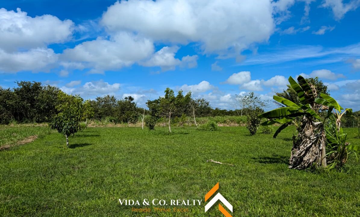 Selena-Property-For-Sale-Belize-10-scaled