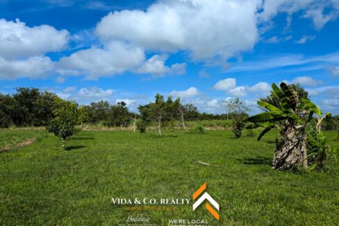 Selena-Property-For-Sale-Belize-10-scaled