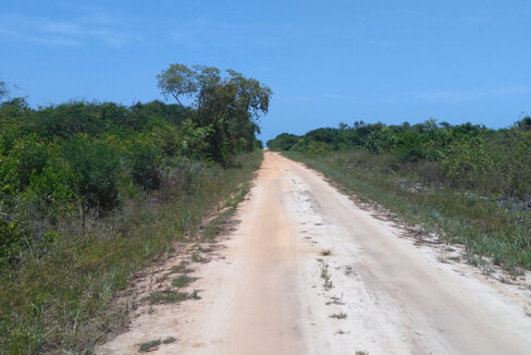 beachfront-road-lot-35-sunny