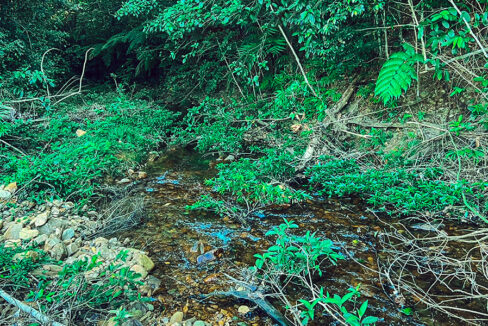 belize-farmland-for-sale
