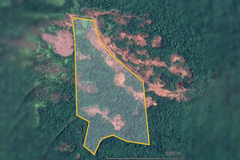 belize59-acres-farmland