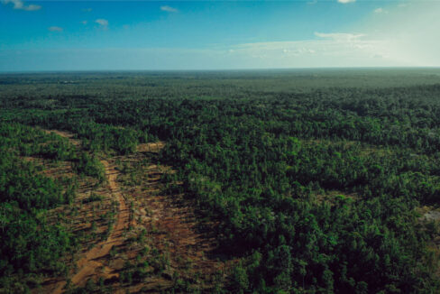 farmland-or-jungle-retreat