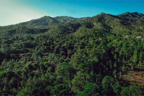 farmland-or-jungle-retreat-belize