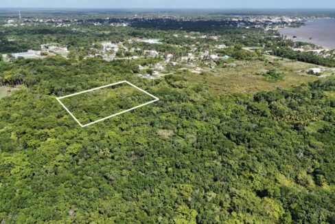 fiveacresforsalecorozalbelize2web-1110x623