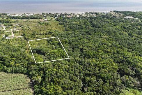 fiveacresforsalecorozalbelizeweb-1110x623