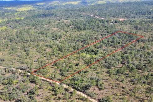 mountainpineridgelandforsalebelize1web-1110x623