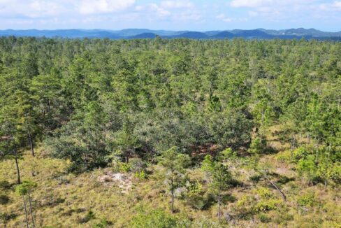 mountainpineridgelandforsalebelize3web-1110x623