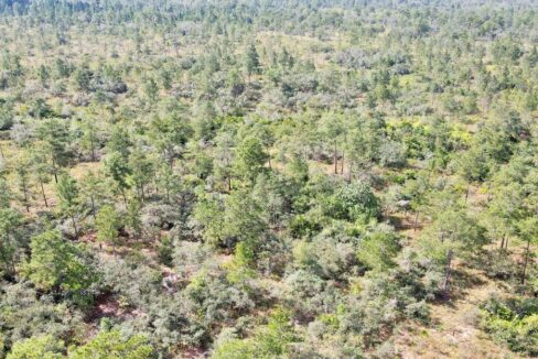 mountainpineridgelandforsalebelize4web-1110x623