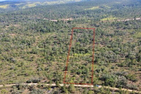 mountainpineridgelandforsalebelize5web-1110x623