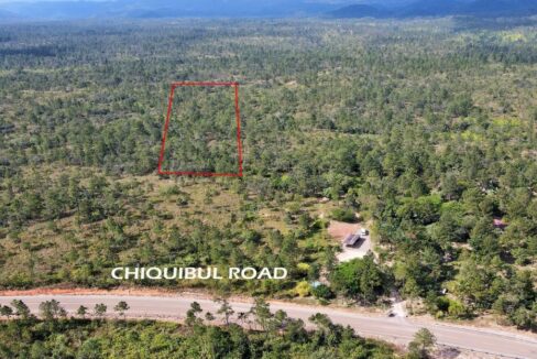 mountainpineridgelandforsalebelize6web-1110x623