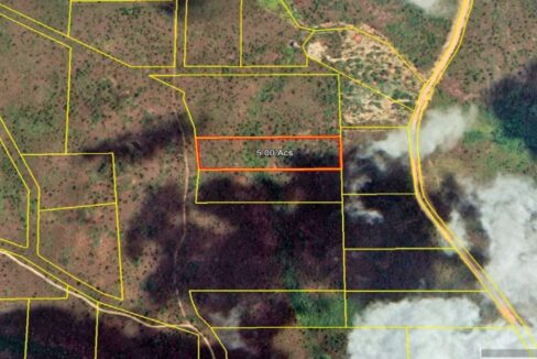 mountainpineridgelandforsalebelize7web-1110x623