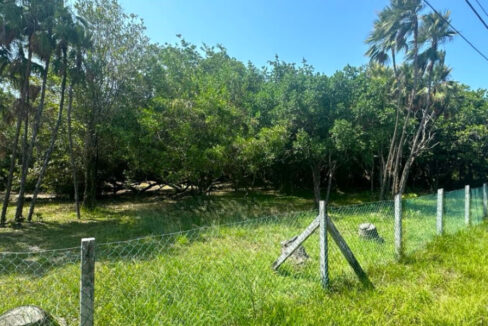pic1