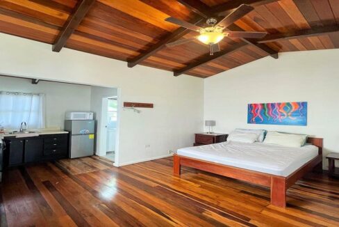 seafrontpropertysanpedrobelize15web-1110x623