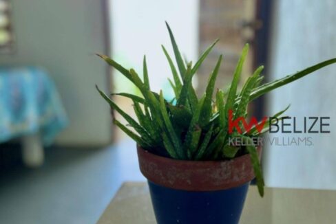 thumb_33687_800_500_0_0_crop