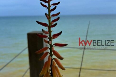 thumb_33708_800_500_0_0_crop
