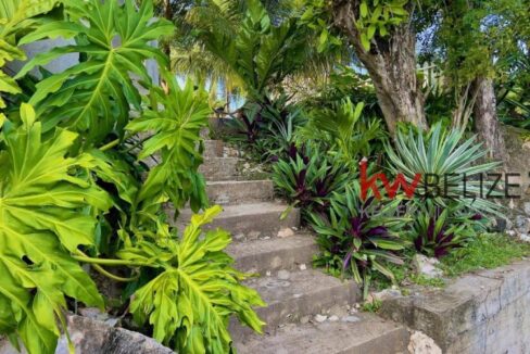 thumb_33710_800_500_0_0_crop