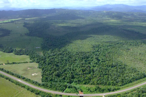 1-131-acres-of-jungle-near-hopkins
