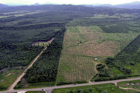 1-394-acre-farm-in-hopkins