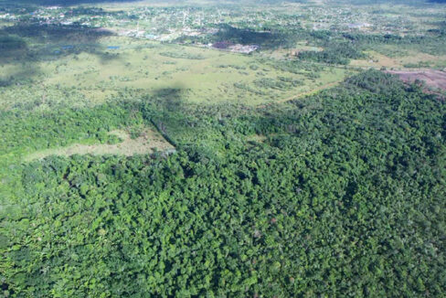 1-97-acres-of-jungle