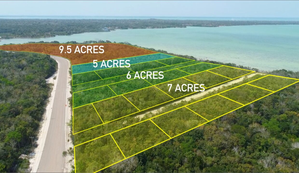 100011445060-aerial20202420outlined