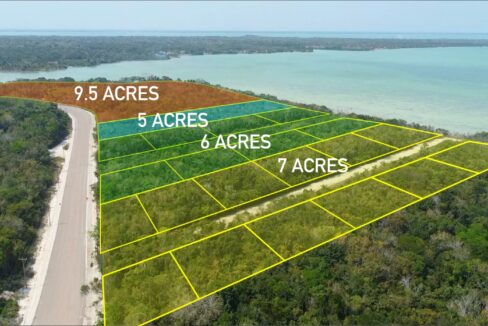 100011445060-aerial20202420outlined